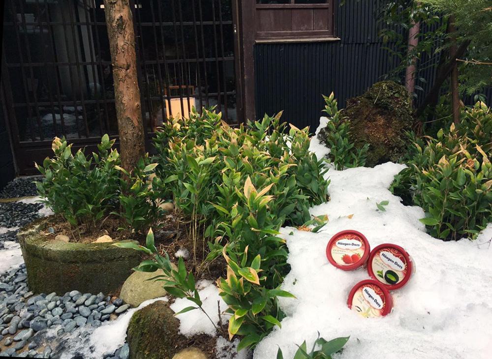 Ichii No Niwa 一棟貸切の古民家宿 櫟の庭 Takayama  Dış mekan fotoğraf